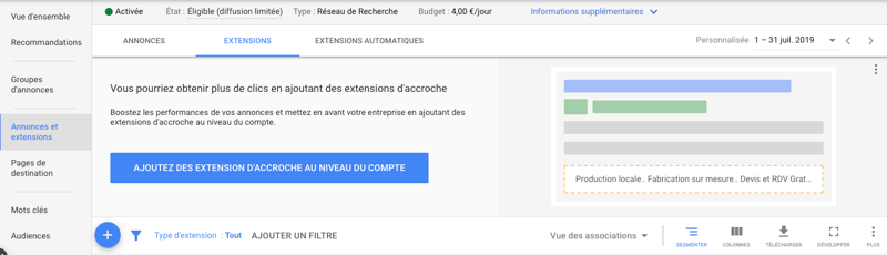 campagnes-google-ads-Extension-Ads