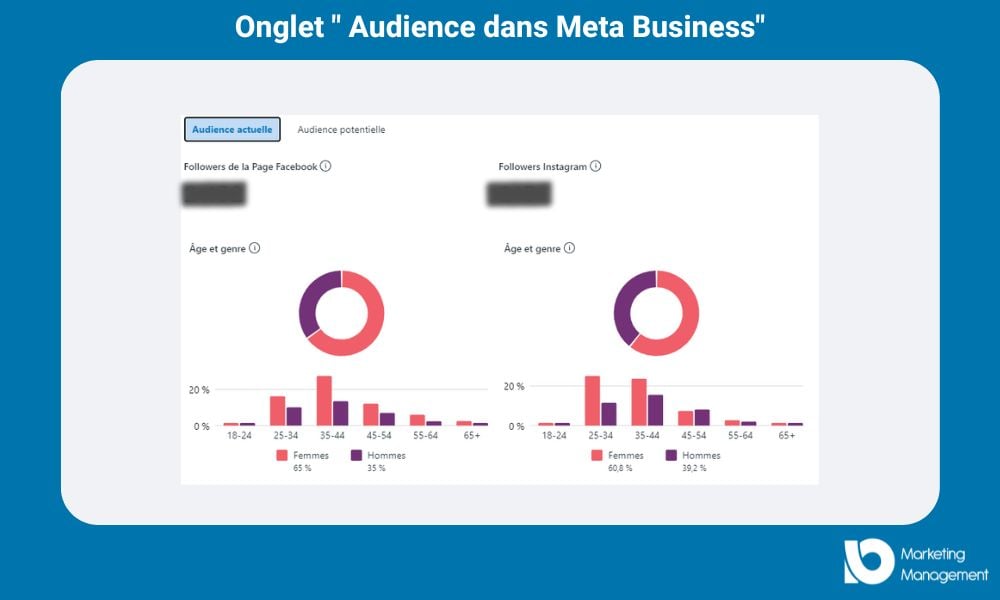 audience statistique meta mmio