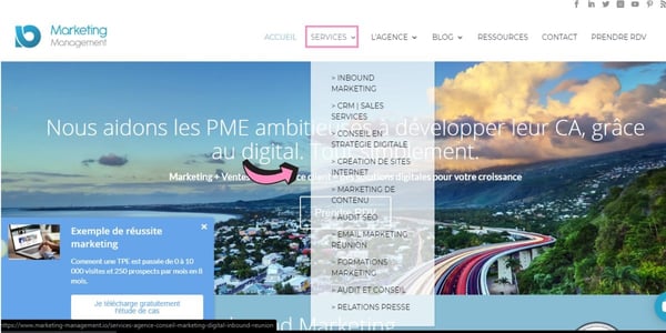 audit site web services