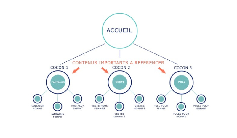 cocon-sémantique-schema