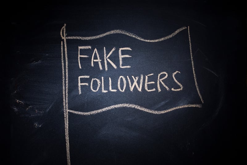 instagram-followers-BOTS-fake followers