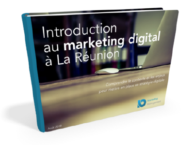 guide marketing digital reunion