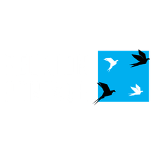 REUNION PORTAGE (1)