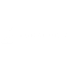 EURAUDIT OI EURAUDIT OI