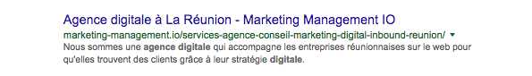 enjeux-marketing-digital-reunion-metadescription