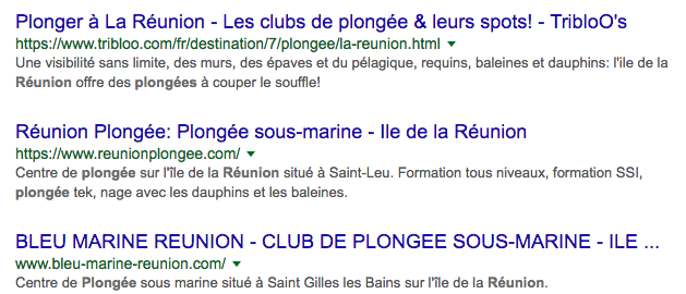 recherche google plongee reunion.png