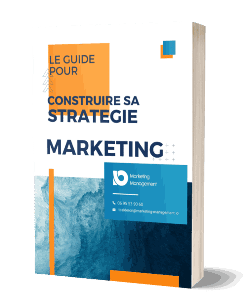 Mockup_Guide_Strategie_Marketing_Efficace_2020