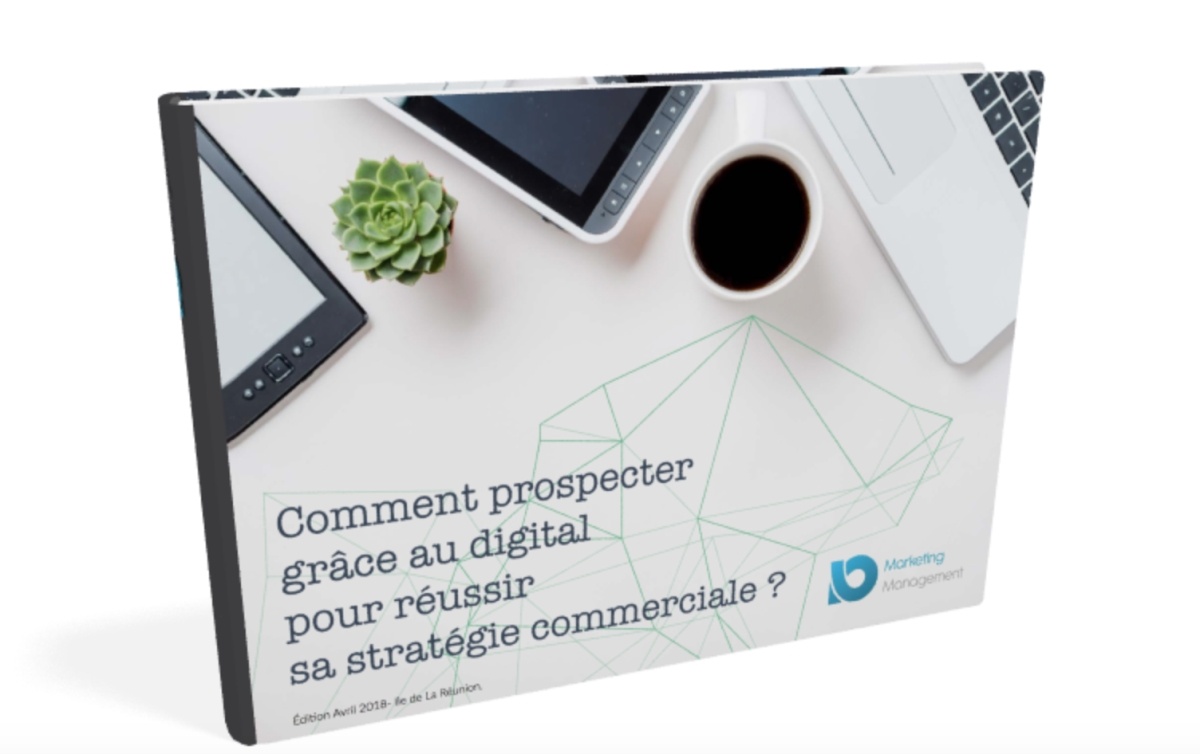 couv guide stratégie commerciale efficace à La réunion