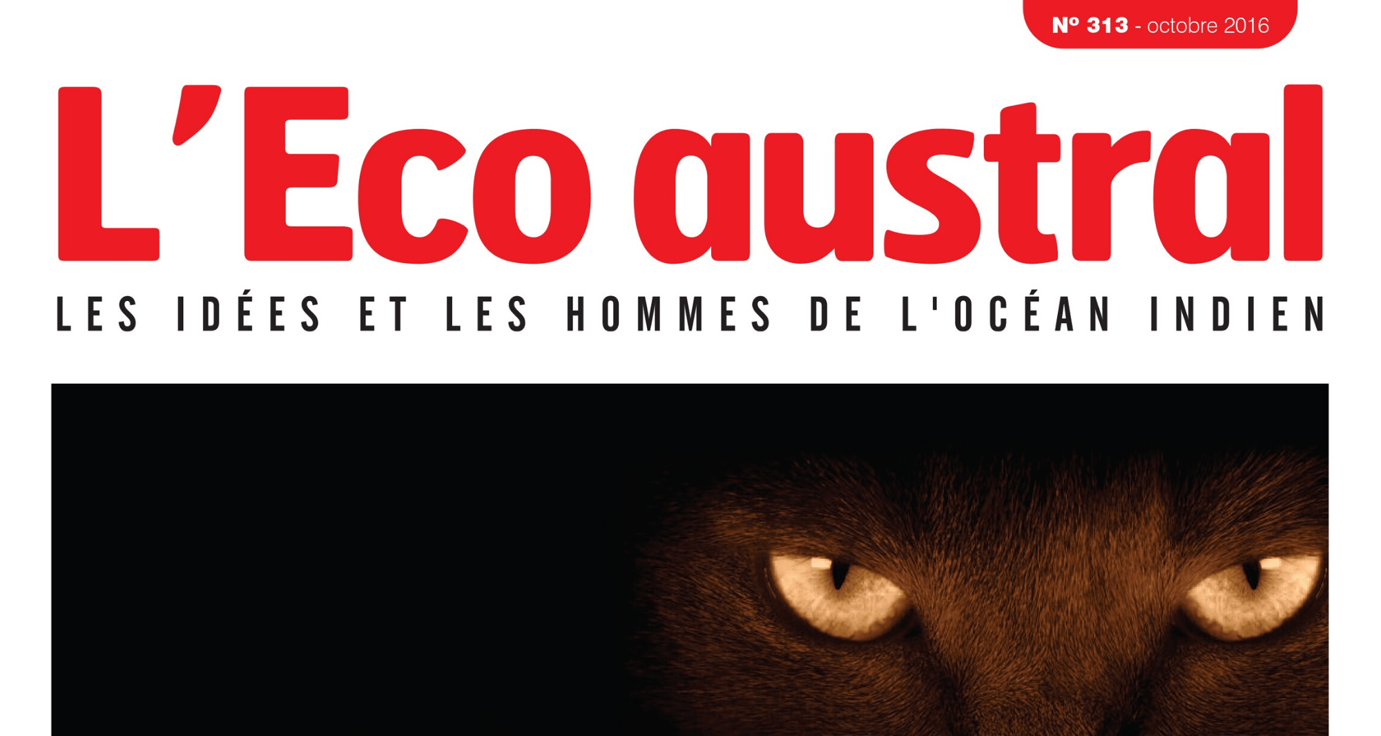 eco-austral-2016-couverture