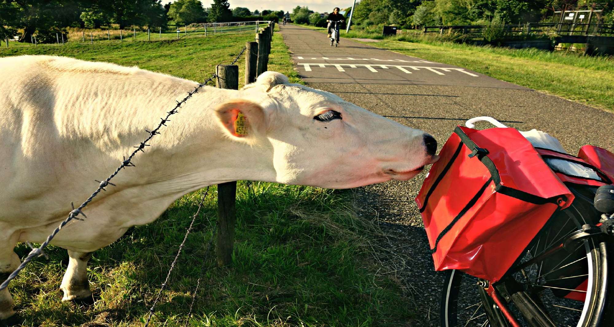 campagne-inbound-marketing