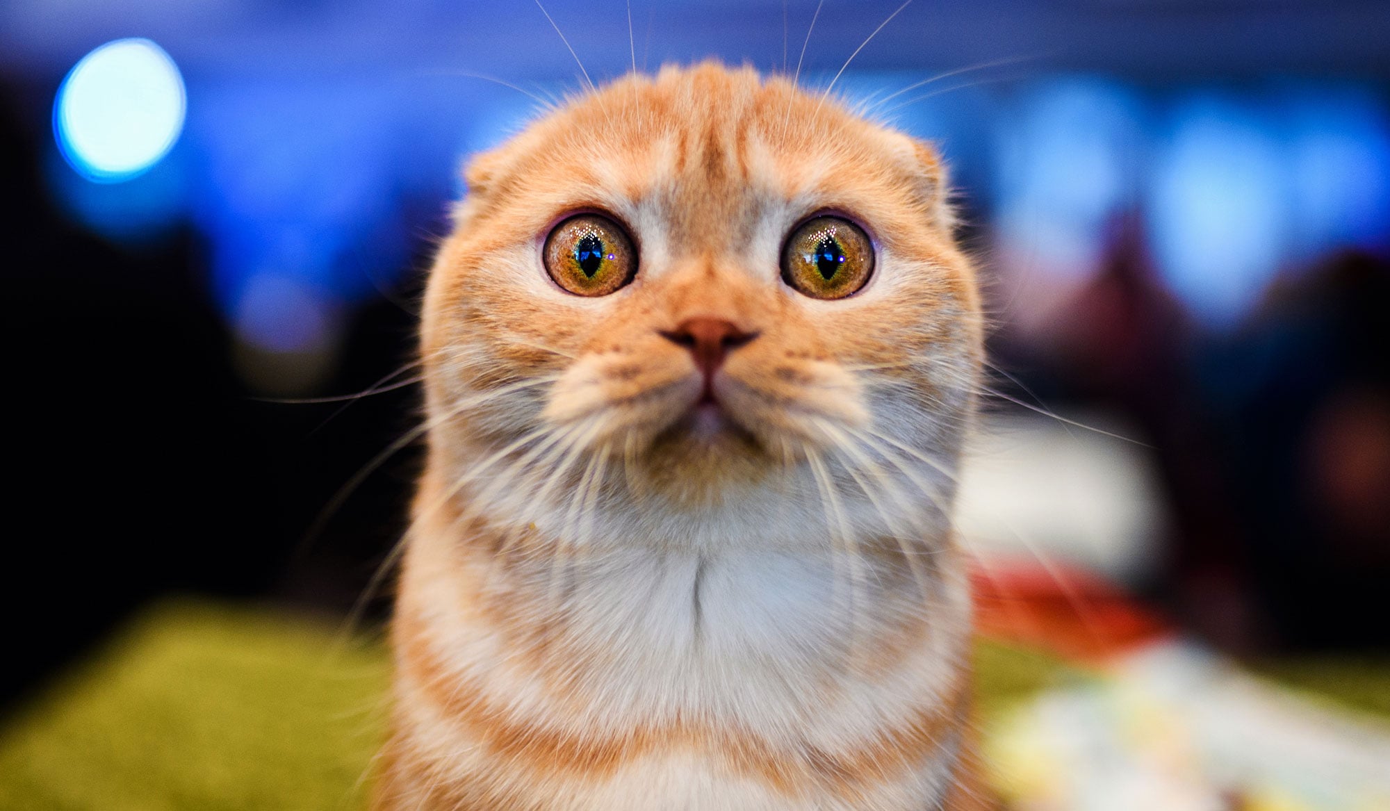 <span id="hs_cos_wrapper_name" class="hs_cos_wrapper hs_cos_wrapper_meta_field hs_cos_wrapper_type_text" style="" data-hs-cos-general-type="meta_field" data-hs-cos-type="text" >Le Top 15 des erreurs à éviter pour votre newsletter</span>