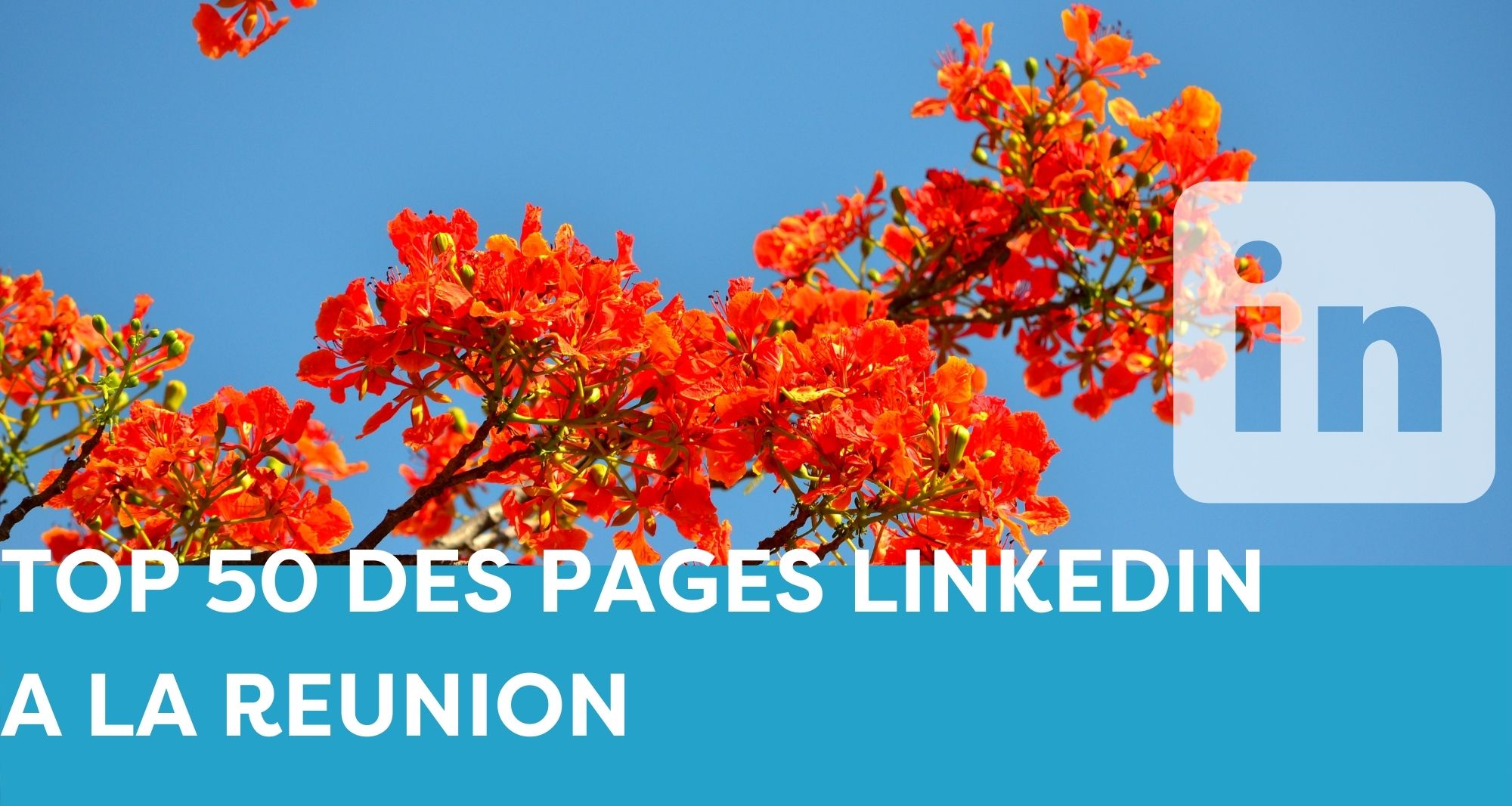 TOP 50 DES PAGES LINKEDIN A LA REUNION 