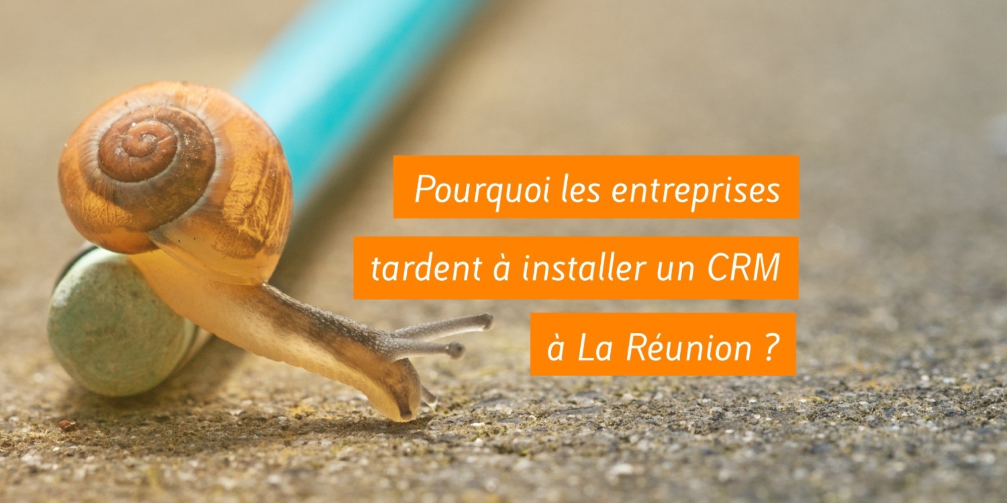 Pourquoi les entreprises tardent à installer